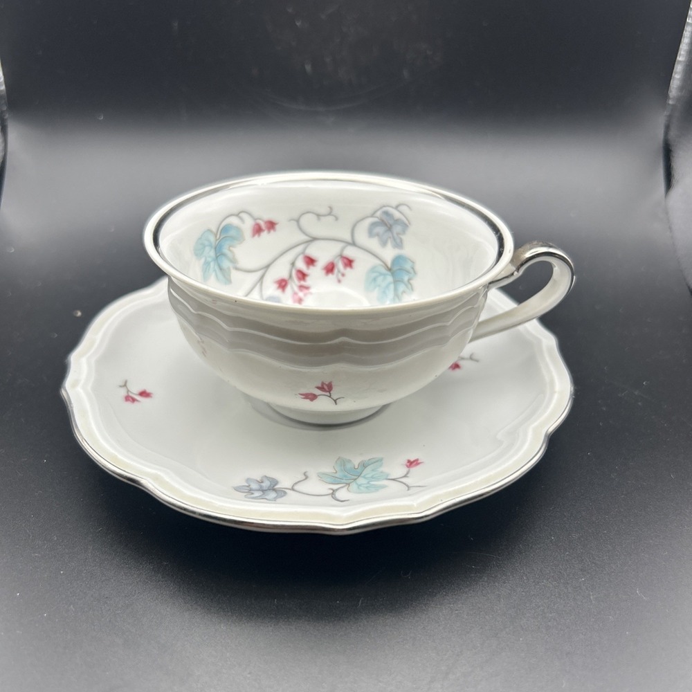 Vintage Baronet Floral Porcelain Tea Cup and Saucer Set With Silver Trim Japan